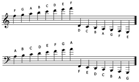 Explore the World of Music: Notes on a Treble Clef