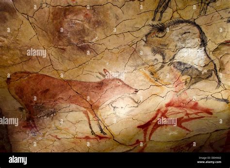 Deer and Bison in Altamira´s reproduction cave Neo Cave Upper Stock Photo: 60015482 - Alamy