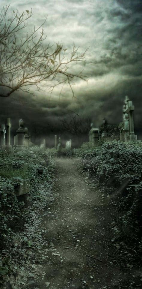 Download Explore the mysteries of the spooky night in this Halloween graveyard. Wallpaper ...