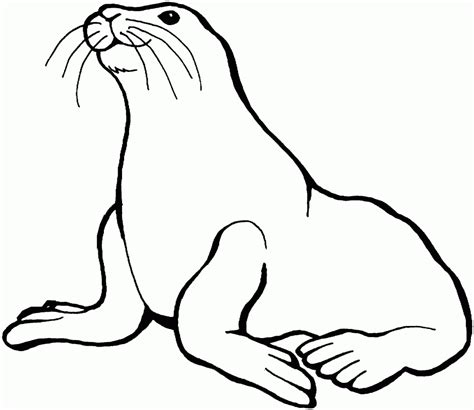 Sea Lion Coloring Page - Coloring Home