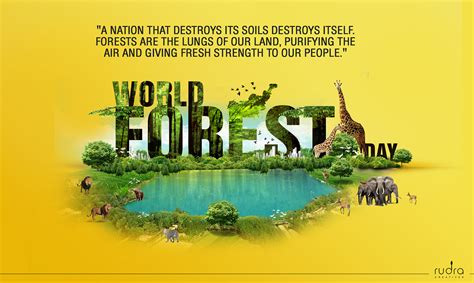 World Forest Day :: Behance