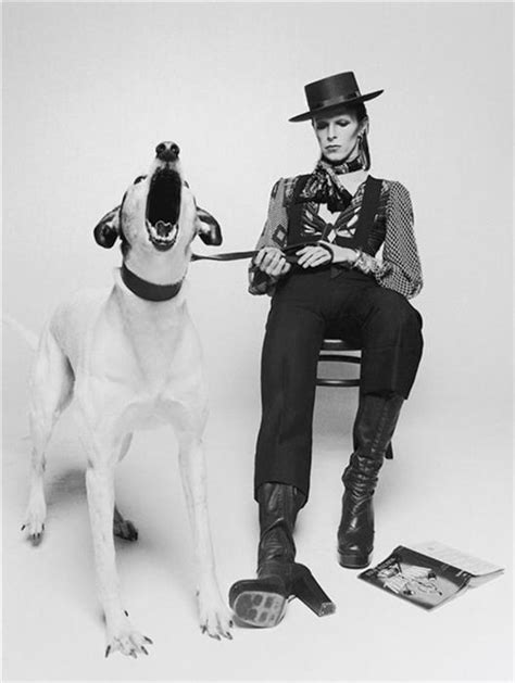 David Bowie for the Diamond Dogs album cover, 1974 from Terry O'Neill David Bowie by Terry O ...