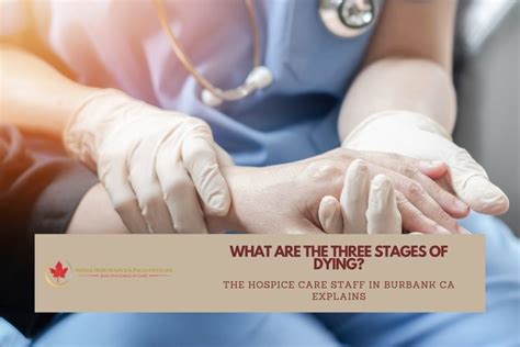 What Are The Three Stages Of Dying? The Hospice‌ ‌Care‌ ‌Staff In ...