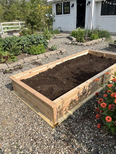 How to Make a Cedar DIY Raised Garden Bed » Tree Farm Design Co.