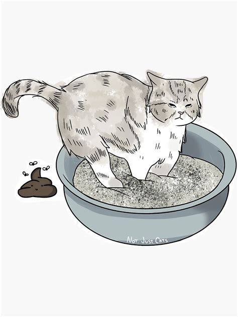 "Cat poop meme" Sticker for Sale by NotJustCats | Redbubble