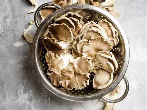 How to Wash Mushrooms—Including Store-Bought and Cultivated