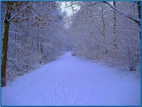 Winter Scene Screensaver - Download-Screensavers.biz