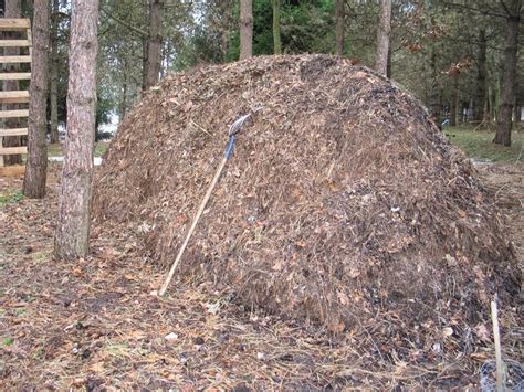 Healthy Sustainable Living: Make Your Own (easy!) Compost Pile