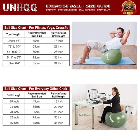 What Size Exercise Ball For 5 3 – Online degrees