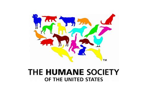 Volunteering at the Humane Society – OUTLOUD Multimedia