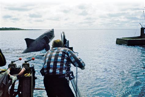 21 Amazing Behind the Scenes Photos From the Making of 'Jaws' (1975 ...