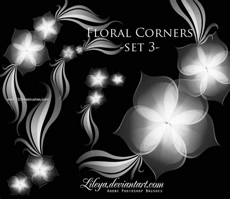 Floral Corners | Adobe Photoshop Free Download Photoshop | 123Freebrushes