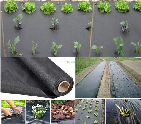 PP Ground Cover Plastic Vegetable Garden Weed Mats Supplier - Weed Control Mat and Ground Cover