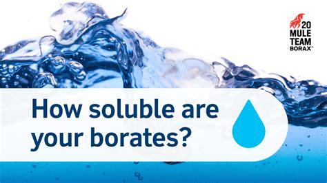 Infographic: Borates mineral solubility in water | U.S. Borax