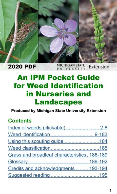 A mobile-friendly guide for weed identification in nurseries and landscapes is now available ...