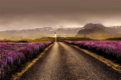 HDR Photo by Mountains and road with flowers in Iceland image - Free ...