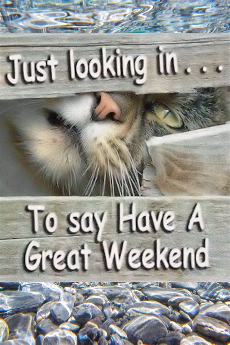 Just looking in... To say Have A Great Weekend! | Happy weekend quotes, Happy weekend, Funny ...