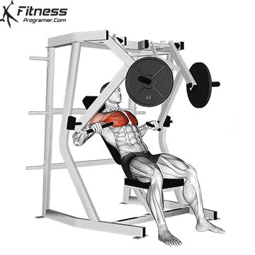 How To: Decline Chest Press Machine | Muscles Worked And Benefits