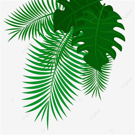 Gold Palm Leaves Vector Hd Images, Palm Leaves, Coconut, Leaf, Leaf ...