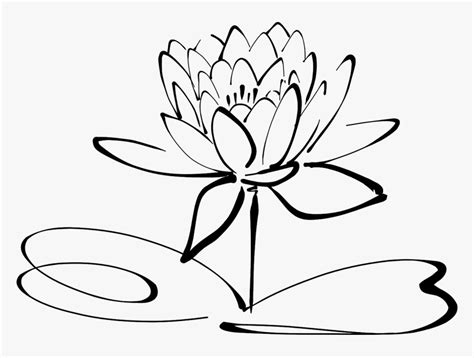 Lotus Flower Line Art Free Photo - Lotus Flower Clipart Black And White ...