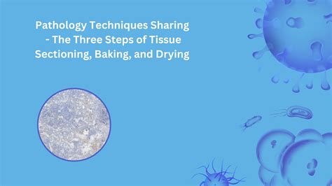 Pathology Techniques Sharing - The Three Steps of Tissue Sectioning, B...