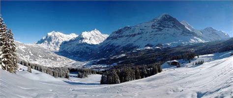 Proper Sledging