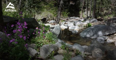 Best Trails in San Bernardino National Forest - California | AllTrails