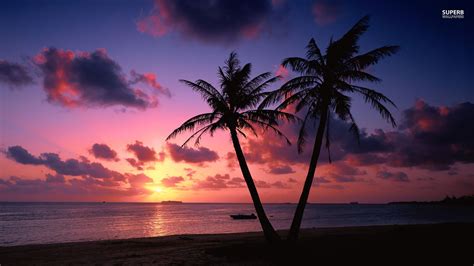 Ocean Sunset HD wallpaper | 1366x768 | #6760 | Tree sunset wallpaper ...