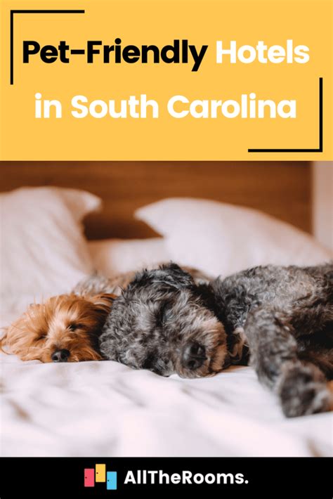 Top Pet-Friendly Hotels in South Carolina - AllTheRooms - The Vacation ...