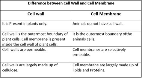 Difference between Cell Wall and Cell Membrane in tabular form