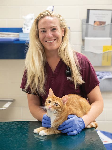 Texas A&M Veterinary Specialists Collaborate On Rare Heart Procedure To Save Young Tabby Cat ...