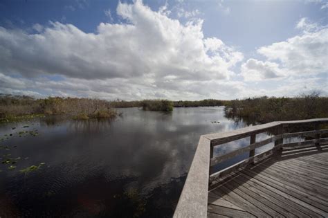 Anhinga Trail Boardwalk | ClipPix ETC: Educational Photos for Students ...