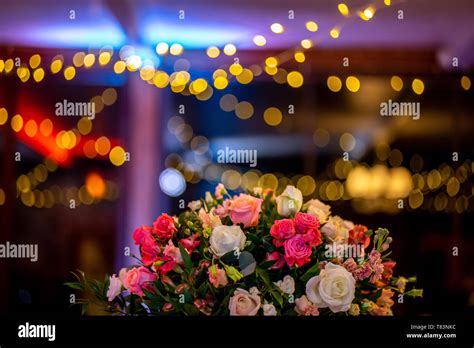 Details 100 wedding lighting background hd - Abzlocal.mx