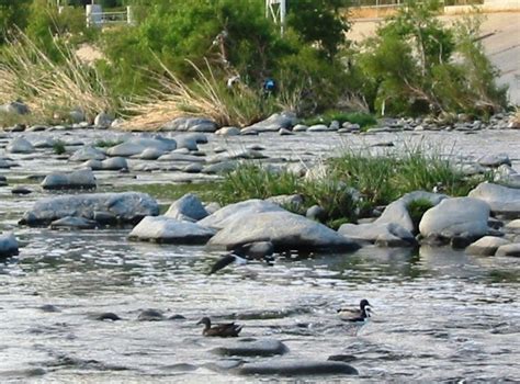 Reconstructing the Los Angeles River—Plans and Benefits - Owlcation