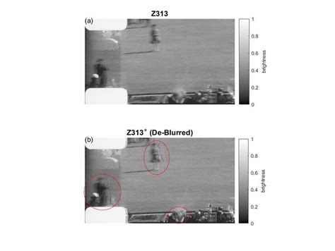 Zapruder frame 313 rendered in grayscale brightness: (a) Z313, and (b)... | Download Scientific ...