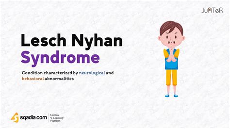 Lesch Nyhan Syndrome