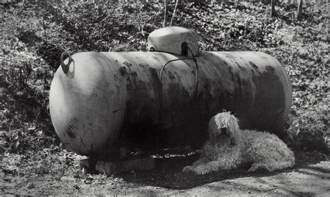 Casper Relaxes in Shadow of the Propane Tank | To sit in the… | Flickr
