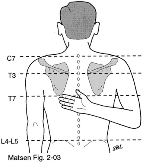 Evaluation of the Stiff Shoulder | UW Orthopaedics and Sports Medicine ...