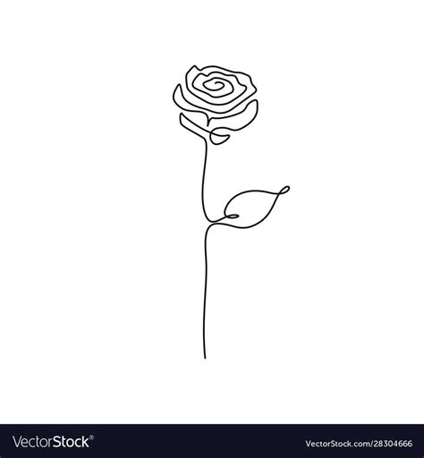 Continuous one line rose flower. Vector illustration. Download a Free Preview or High Quality ...