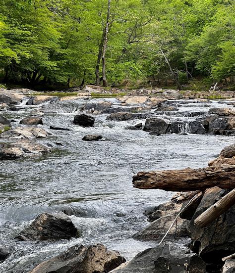 The Eno River State Park - Buckquarter Creek, Holden Mill, Ridge, and Shakori Trails - Durham ...