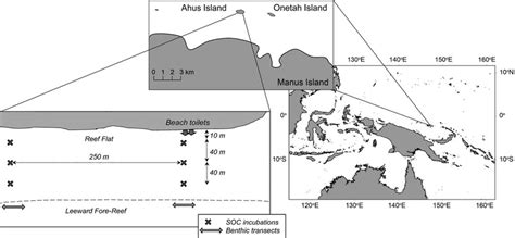 Map of study sites on the north coast of Manus Island, Papua New... | Download Scientific Diagram