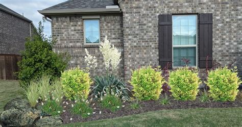 Landscape Design Zone 8 Front Yard Full Sun Evergreen Perennials ...