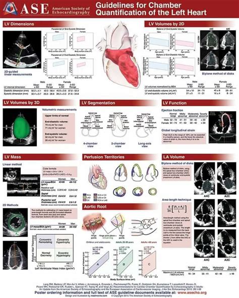 Pin by rini anastasia on Echo | Cardiac sonography, Medical ultrasound ...