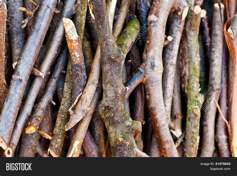 Sticks Twigs Stack Image & Photo (Free Trial) | Bigstock