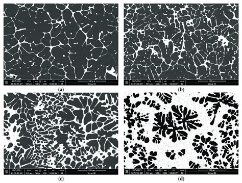 Microstructure of an Al-Sn matrix alloy with tin content from 5 to 50 ...