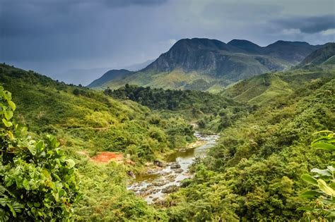 Traveleze: 2 Thrilling Reasons to explore the biodiversity in Madagascar