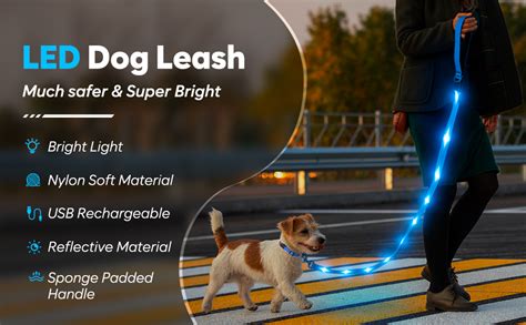 KOSKILL 4 Ft Led Dog Leash, Rechargeable Light Up Dog Leash Waterproof ...