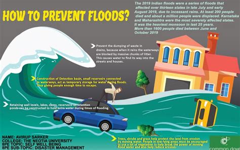 How to Prevent Floods? | Flood prevention, Social organizations, Social cause