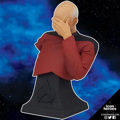 Star Trek: The Next Generation Jean-Luc Picard Facepalm Bust