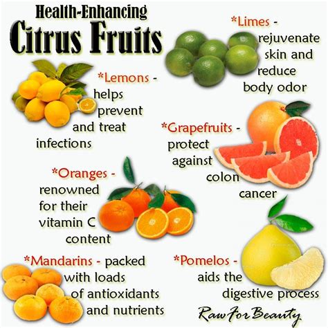 Citrus Fruits | Lista de alimentos, Frutas y verduras, Alimentos